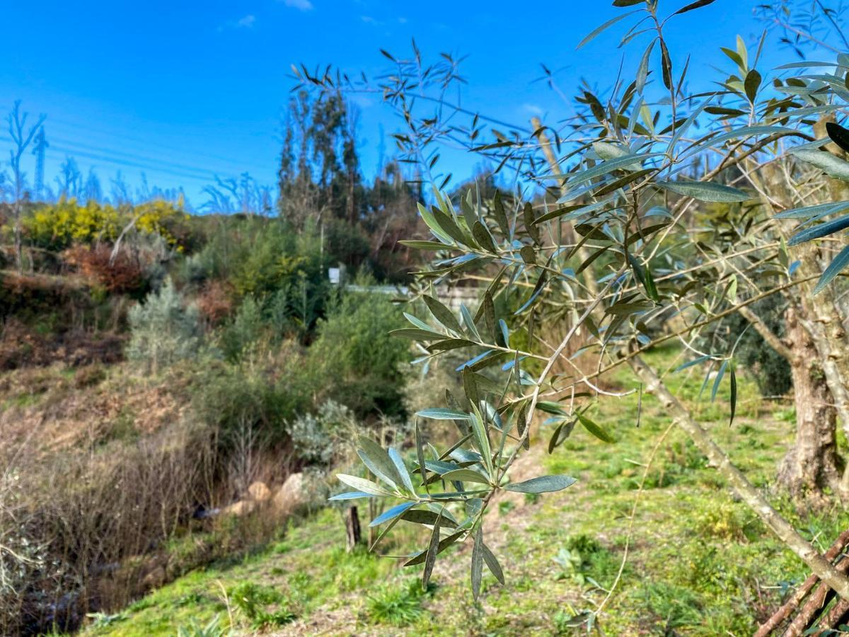 Encosta Do Sol Lägenhet Canas de Senhorim Exteriör bild